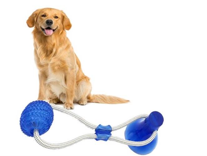 צעצוע מיוחד לכלב - משחק משיכה