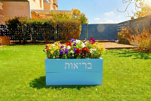 אדנית בריאות