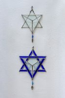קורס בניית טרריום ויטראז'