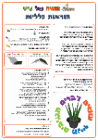 עציץ אלוורה