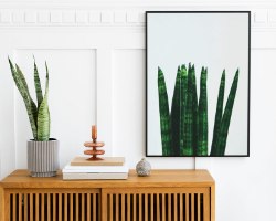 תמונת קנבס הדפס צמח טרופי  "Plants Style" |בודדת או לשילוב בקיר גלריה | תמונות לבית ולמשרד