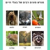 מכשיר-סולארי-להרחקת-חיות-4