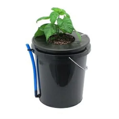 מערכת הידרופונית DWC מים עמוקים