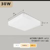 דגם 3 ריבוע - 30W - מנורת תקרה צמודה