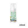 100ML - ספריי קצף לניקוי יבש – מסיר כתמים עוצמתי ללא צורך במים