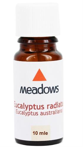 שמן ארומתרפי אקליפטוס רדיאטה 10 מ"ל- Eucalyptus Radiata Essential Oil 10cc