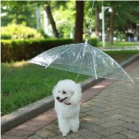 רצועת טיול לחיות מחמד עם מטריה מובנת
