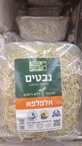 נבטי אלפלפא-בד"ץ העדה החרדית