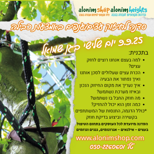 סדנת כבילת ענפים / עצים
