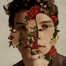 SHAWN MEDNES / SHAWN MENDES