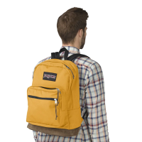תיק גב 3 תאים ג'נספורט RIGHT PACK - צהוב חרדל