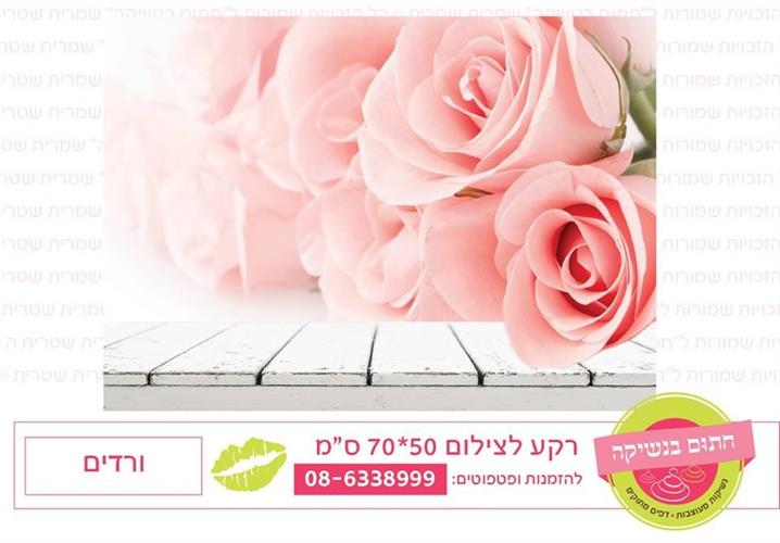 רקע צילום ורדים