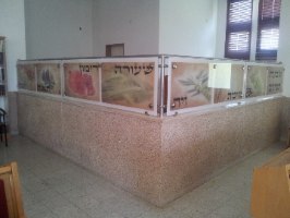 שבעת המינית עזרת נשים יישובי אומן