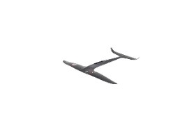 Glider Blackbird BLADE 700-377 557cm² / AR 9.05