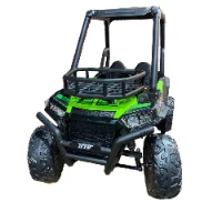 באגי ממונעת UTV דגם 2021 כולל גג ודלתות 24V 2X4
