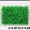 פאנל צמחים דוגמא-26 - קיר צמחיה מלאכותית במבחר סגנונות