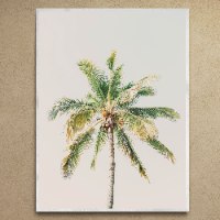 תמונת קנבס סגנון Coastal -הדפס צילום עץ דקל על רקע שמים " Calm Palm" | בודדת או לשילוב בקיר גלריה