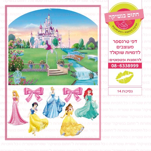 נסיכות 14 קיר