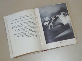 נונו, ספר ילדים ימימה טשרנוביץ, צילומים ריקרדה שוורין, וינטאג' 1967, הוצאת טברסקי ישראליאנה