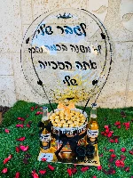 מארז קזינו משולב אלכוהול - לבחירה
