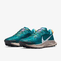 Nike Pegasus Trail  3