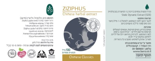 זיזיפוס - Ziziphus
