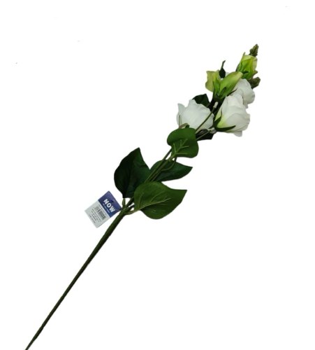 ענף פרחים   A3774-1