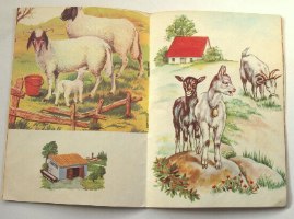החלב שאנו שותים ספר לילדים, צבי שטאל ומועצת החלב, הוצאת עופר כריכה רכה, ישראל וינטאג' 1973
