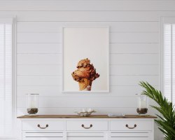 תמונת קנבס לאורך של גלידה | תמונת קנבס בודדת או לשילוב בקיר גלריה | תמונה לבית ֻֻ|