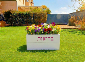 אדנית בריאות