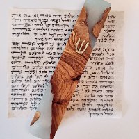 קלף גודל 7 ס"מ