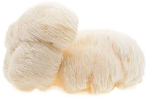 כמוסות רעמת האריה | Hericium erinaceus