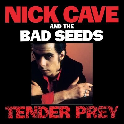 NICK CAVE & THE BAD SEEDS / TENDER PREY