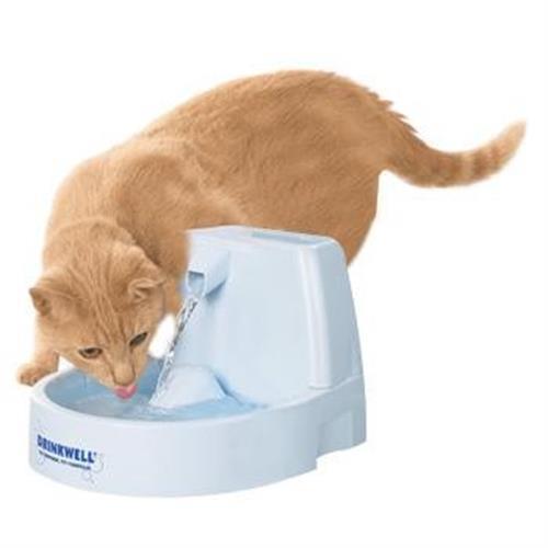 מזרקה לשתיית מים טריים לחתול