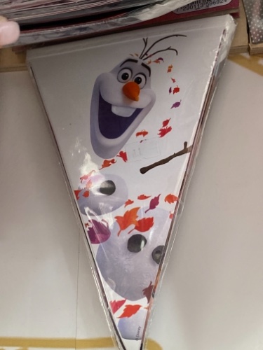 שרשרת דגלים פרוזן