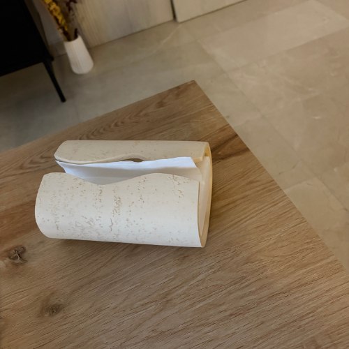 Flow Tissue Holder