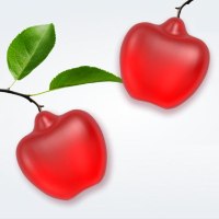 תוסף תזונה טבעי KetoACV Gummies המעניק תחושת שובע מפחית חשק למתוקים ומסייע לירידה מהירה וטבעית במשקל