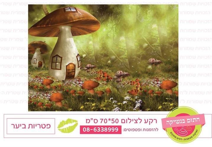 רקע לצילום פטריות ביער