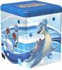 מים - כחול - מארז טין מתכת Pokémon TCG Stacking Tin W22