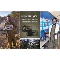 תפידנית צבע אפור