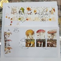 אוסף 13 מעטפות יום ראשון
