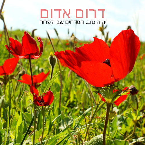 דרום אדום 1