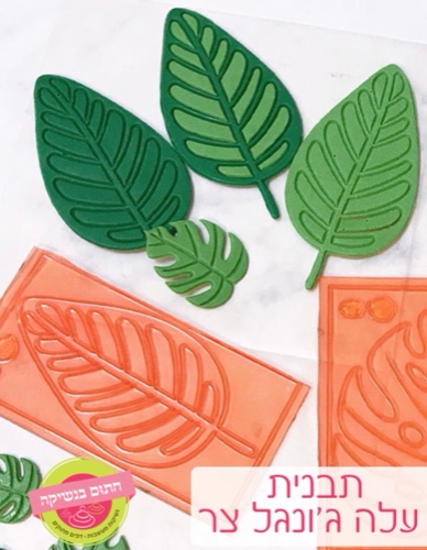 עלה גונגל צר