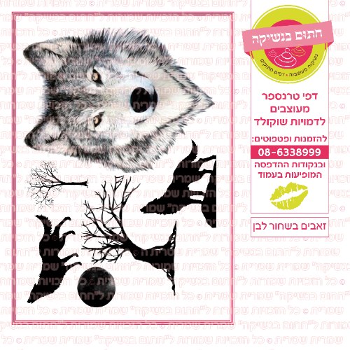 זאבים בשחור ולבן