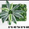 פאנל צמחים דוגמא-19 - קיר צמחיה מלאכותית במבחר סגנונות