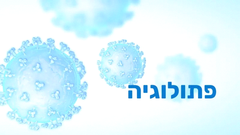 קורס פתולוגיה - דיגיטלי