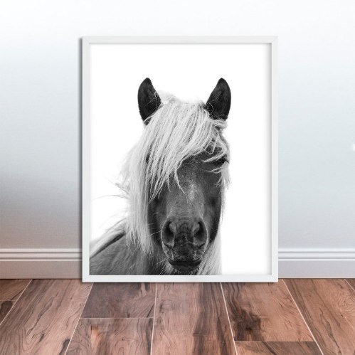 תמונת קנבס הדפס צילום מונוכרום "אלה פני הסוס" | בודדת או לשילוב בקיר גלריה | תמונות לבית ולמשרד