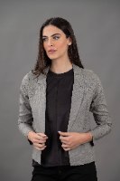 ג'קט קלאסי פשתן אפור