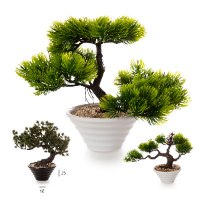 עציץ בונסאי 18*25 ס"מ