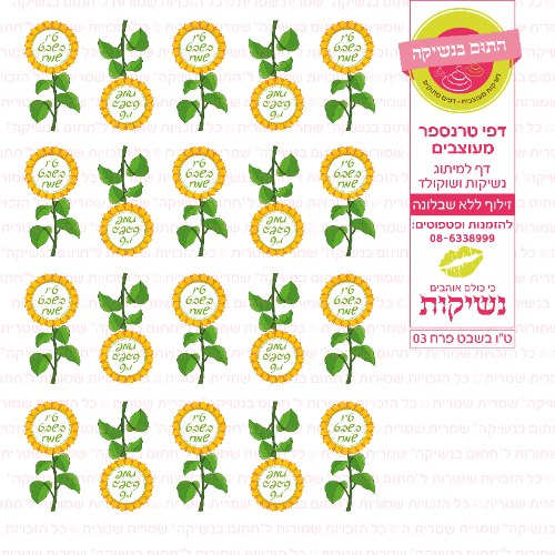 טו בשבט פרח 03- טרנספר